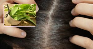 L’uso della salvia per coprire la ricrescita dei capelli bianchi