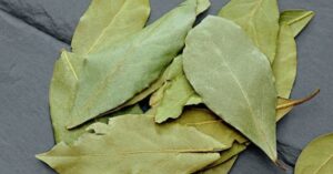 Tutti gli usi dell’alloro, non solo ai fornelli