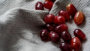 Questo super alimento allunga la vita e ritarda le patologie legate all’età