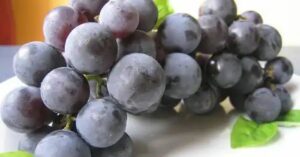 Uva: la medicina naturale per i tuoi reni