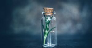 I mille usi del rosmarino: tutti i modi in cui può essere prezioso in casa