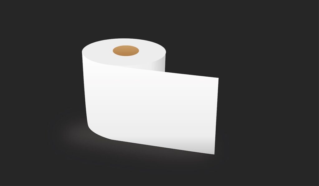 Rotolo di carta igienica