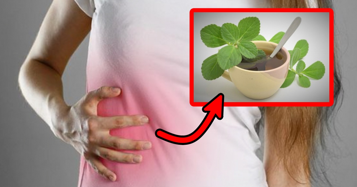 Benefici del boldo per il fegato