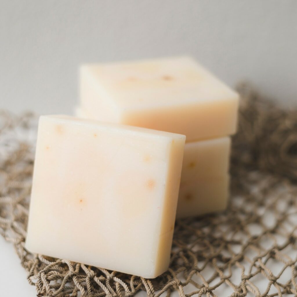 Il sapore dei formaggi vegetali