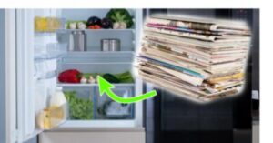 Hai mai pensato di mettere dei fogli di giornale in frigorifero? 3 motivi per cui dovresti farlo