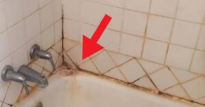 Muffa tra le piastrelle del bagno? Dei validi rimedi