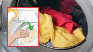 Modi per non avere CAPI SCOLORITI