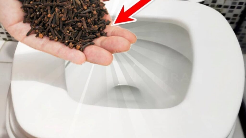 trucco urina puzza bagno 