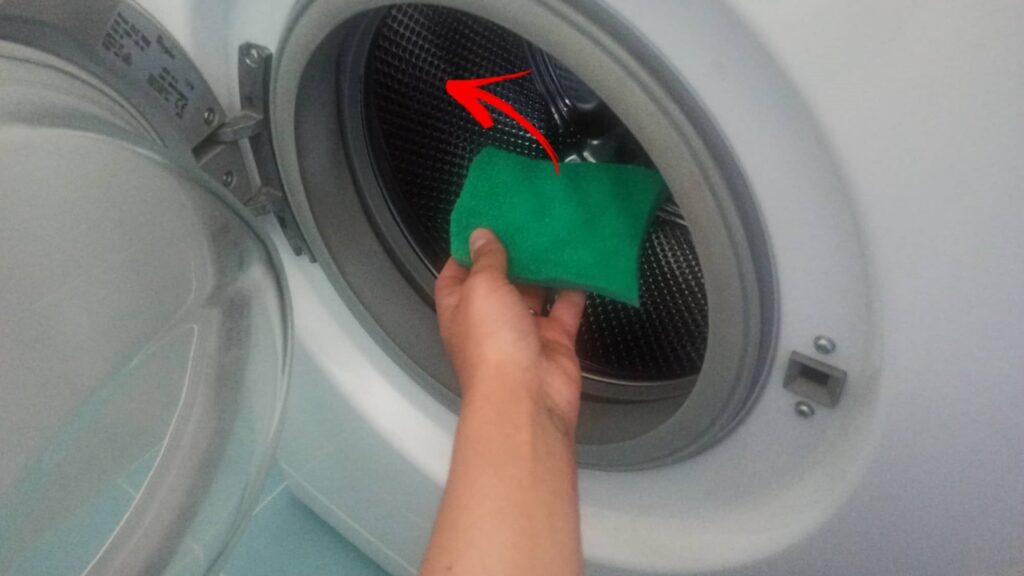 spugna lavatrice peli