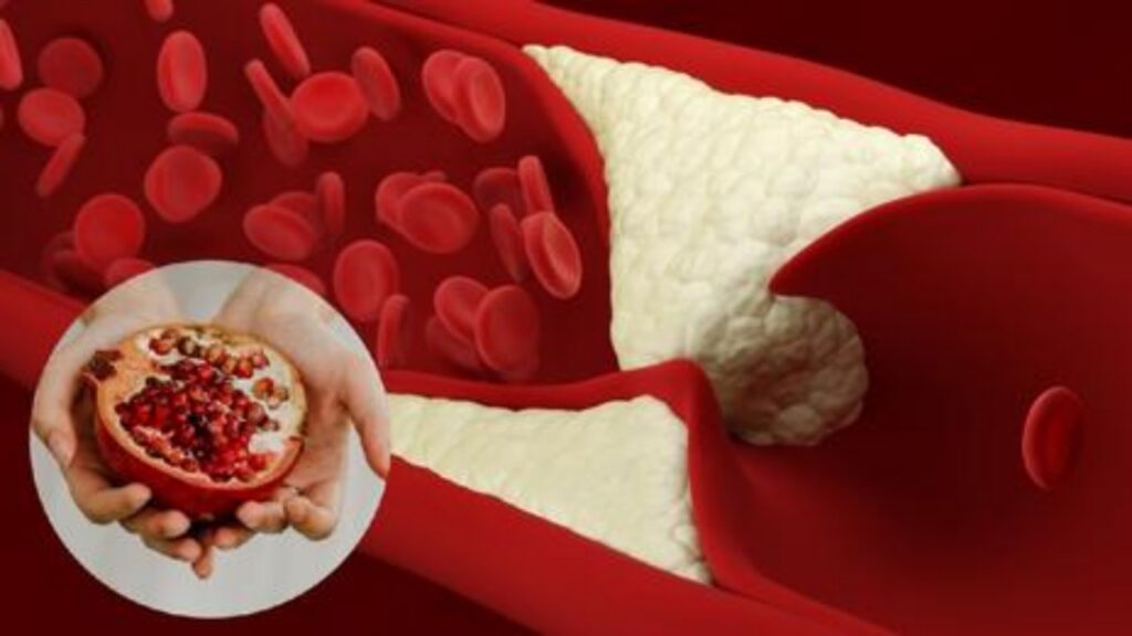 Melograno e salute sangue