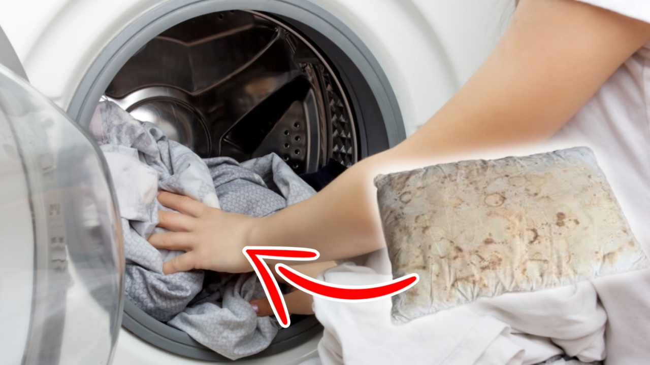 Ogni quanto lavare i cuscini