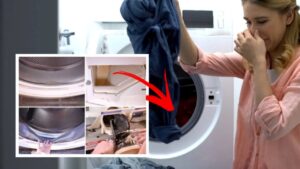 Se la lavatrice emana un odore di muffa, prova a seguire questi tre trucchi