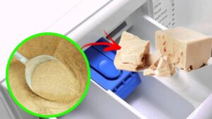Il trucco del lievito in lavatrice: quello che le lavanderie non dicono!