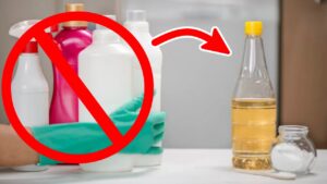 Come creare uno sgrassatore universale per pulire tutte le superfici con soli due ingredienti