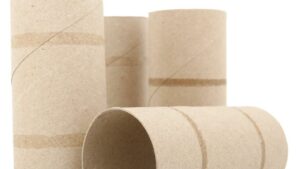Perché tutti conservano i rotoli di carta igienica vuoti