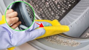 È questa la parte trascurata della lavatrice che la fa puzzare. Ora che lo sai non avrai più problemi!