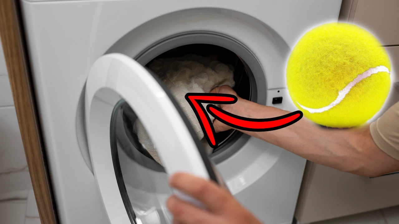 Pallina da tennis in lavatrice