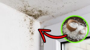 Umidità in casa? Come realizzare un deumidificatore fai-da-te