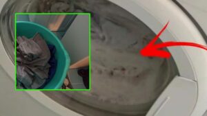 Non lasciare il bucato in lavatrice troppo a lungo: che cosa succede