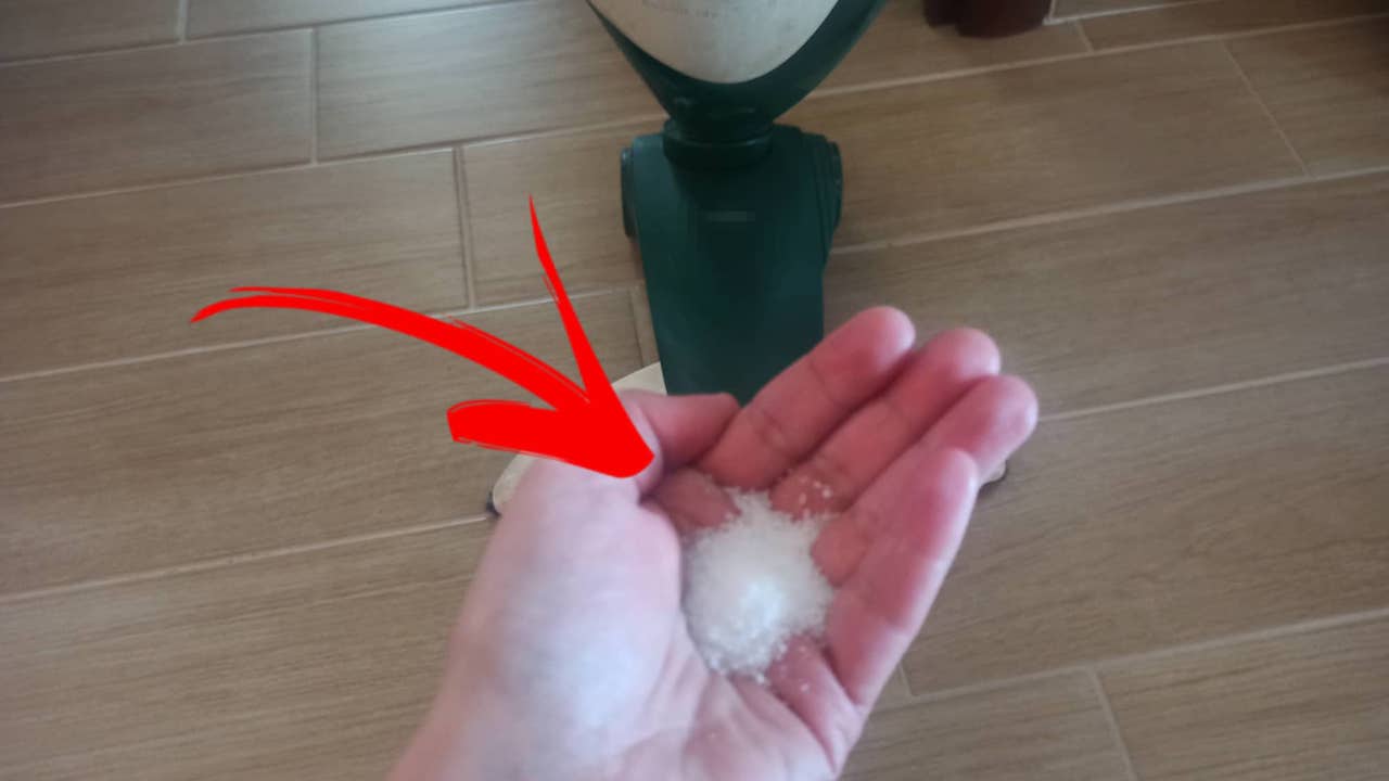 Mettere il sale nell'aspirapolvere