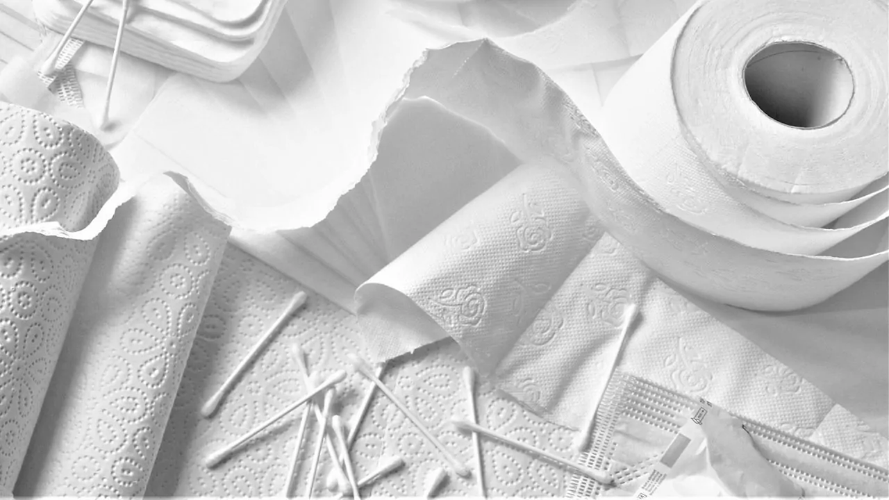 rotolo di carta igienica