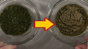 Sai perché il pesto diventa marrone? Come evitarlo