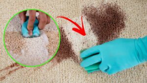Come rimuove le macchie dal tappeto con TRUCCHI facili e veloci