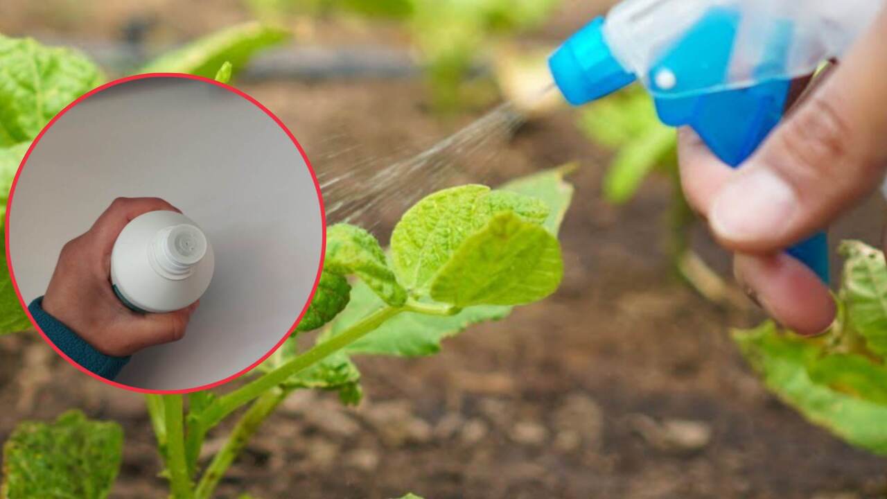 spray acqua ossigenata