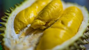 Durian: le proprietà del frutto sconosciuto e maleodorante
