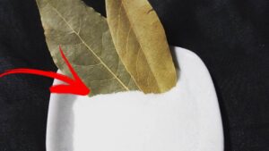 Sale e alloro: usi geniali di 2 ingredienti naturali