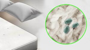 Come capire se ci sono gli acari nel materasso?