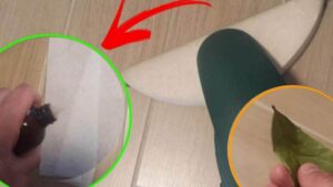 3 trucchetti per profumare casa passando l’aspirapolvere