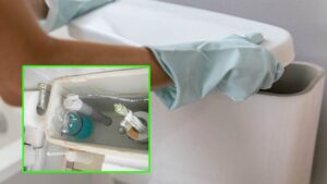 Casetta del wc, il rimedio super efficace per pulirla a fondo: tornerà come nuova