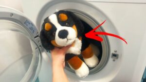 Come lavare i peluche in lavatrice senza rovinarli