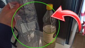 Sempre più casalinghe lo fanno: riempi un sacchetto di aceto