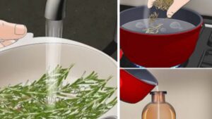 Acqua al rosmarino: utilizzala in casa e rimarrai stupito dai suoi effetti benefici