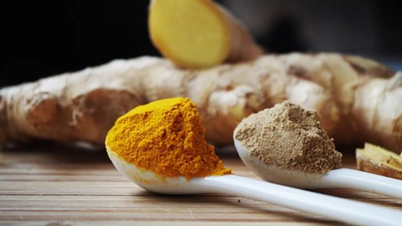 spezie antibiotici naturali