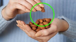 Mandorle: l’alimento sano e nutriente da utilizzare come snack