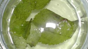 Menta e aceto: il trucchetto più utilizzato dalle casalinghe