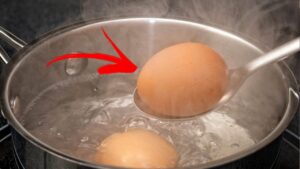 Cucinare le uova: tutti i modi possibili