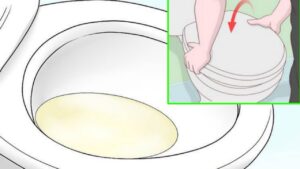 Come sbloccare il wc in 3 minuti con questo trucchetto