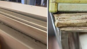 Le guarnizioni del frigorifero sono nere e piene di muffa? Fai così e torneranno come nuove