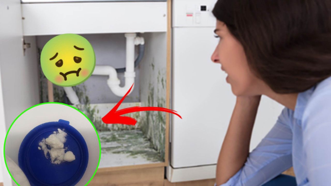 Odore di muffa proveniente da sotto il lavandino