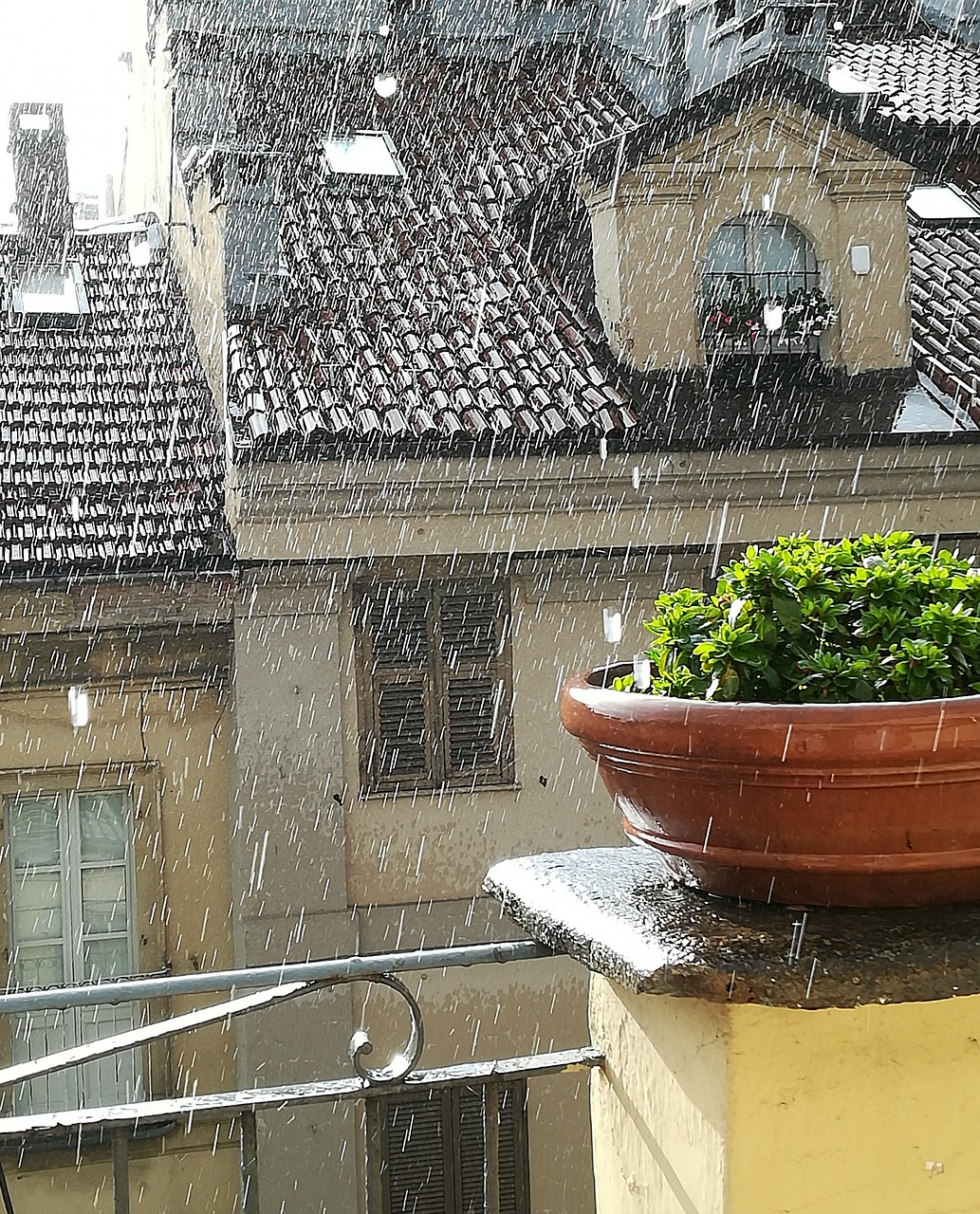 Pulizia grazie alla pioggia