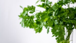 Scopri gli incredibili benefici del prezzemolo e i rimedi naturali che trasformano la tua salute