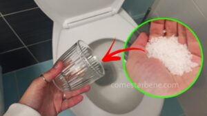 Scopri il motivo per cui molte persone stanno versando sale nel WC per risparmiare denaro