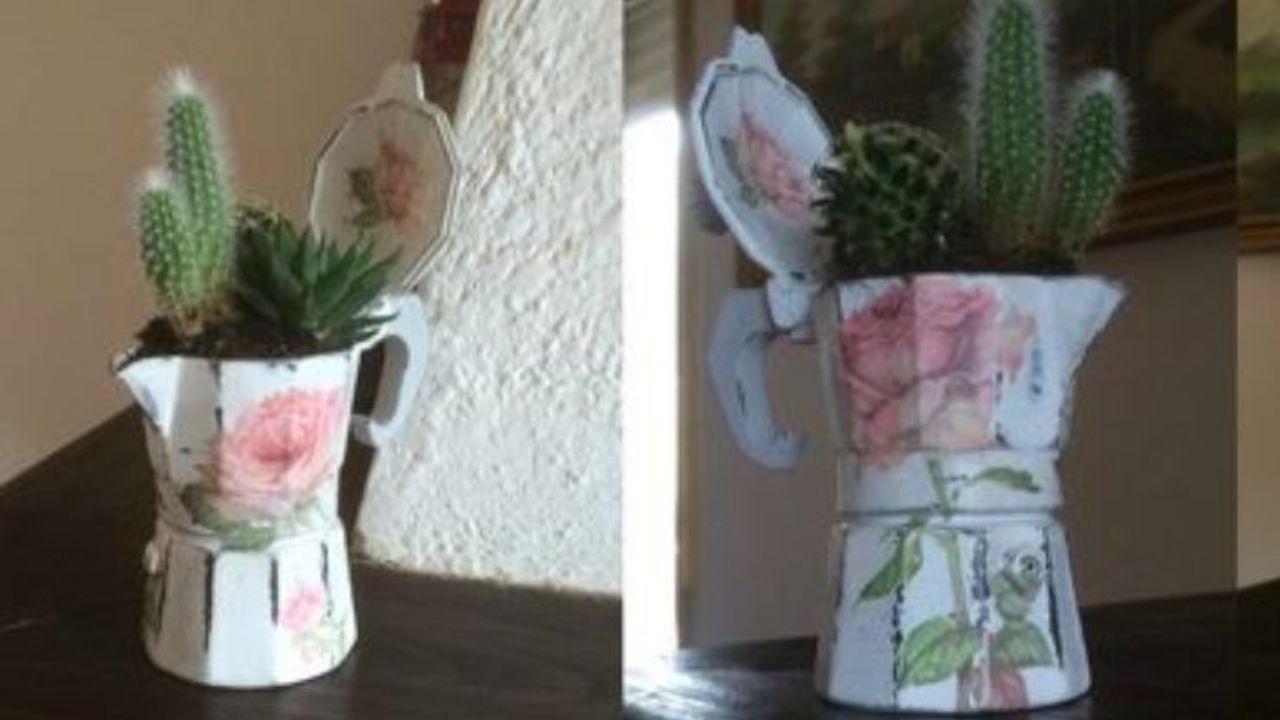 Vecchia moka come vaso per piante grasse