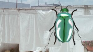 Cimici tra le lenzuola? Allontanale così