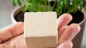 Perché devi usare il lievito di birra per le tue piante? Te lo spieghiamo noi, ti diciamo come usarlo e ti assicuriamo che il risultato ti sorprenderà