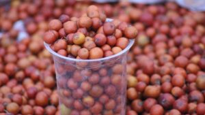 Lo abbiamo dimenticato ma era il frutto dei nostri nonni! Combatte l’insonnia, ha un potere lassativo e tanti altri benefici per la salute!